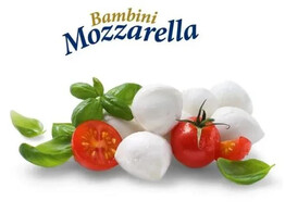 KAAS MOZZARELLA BAMBINI  1 KG