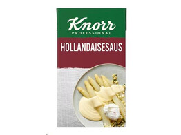 SAUS HOLLANDAISE  KNORR GARDE D OR  1 L