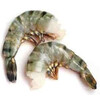 SCAMPI BLACK TIGER EZP RC  FISKER  16/20  800 GR