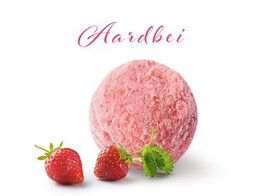 SORBET AARDBEI  PAGOTINI  2.5 L