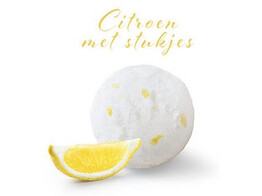 SORBET CITROEN M/STUKJES  PAGOTINI  2.5 L