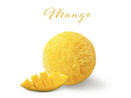 SORBET MANGO  PAGOTINI  2.5 L
