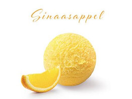 SORBET SINAASAPPEL  PAGOTINI  2.5 L