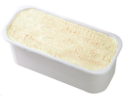 ROOMIJS VANILLE  GELATO ANTONIO  5 L