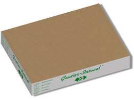 PLACE MAT KRAFT  30   39 CM  500 STUKS