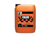 ALLESREINIGER  VIGOR  10 L