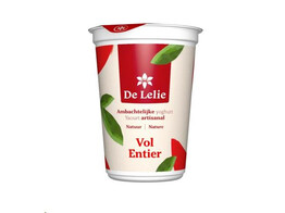 YOGHURT NATUUR VOL  DE LELIE  500 GR