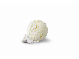 ROOMIJS KOKOSNOOT  PAGOTINI  2.5 L