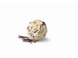 ROOMIJS STRACCIATELLA  PAGOTINI  2.5 L