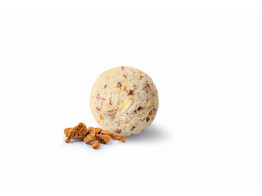 ROOMIJS VANILLE   SPECULOOS  PAGOTINI  2.5 L