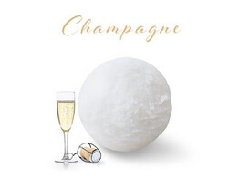 SORBET CHAMPAGNE  PAGOTINI  2.5 L