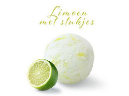 SORBET LIMOEN M/STUKJES  PAGOTINI  2.5 L