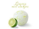 SORBET LIMOEN M/STUKJES  PAGOTINI  2.5 L