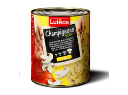 CHAMPIGNON SCHIJVEN LARGE  LUTECE  3 L