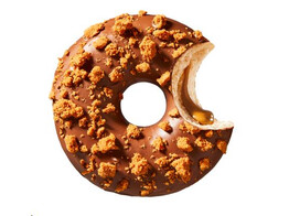 DONUT LOTUS BISCOFF BROWN COATING  LL1193  48 ST  69 GR    promo  