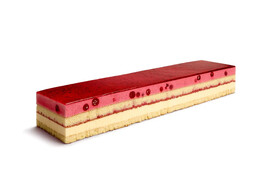 BAVAROIS BOSVRUCHTEN  B168  800 GR