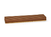 BAVAROIS CHOCOLADE FEUILLETINE  B255  700 GR