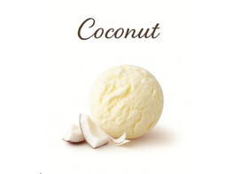 SORBET KOKOSNOOT  PAGOTINI  2.5 L