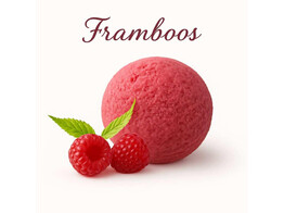 SORBET FRAMBOOS  PAGOTINI  2.5 L