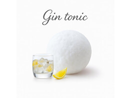 SORBET GIN TONIC  PAGOTINI  2.5 L