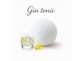 SORBET GIN TONIC  PAGOTINI  2.5 L
