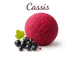 SORBET CASSIS  PAGOTINI  2.5 L