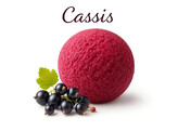 SORBET CASSIS  PAGOTINI  2.5 L